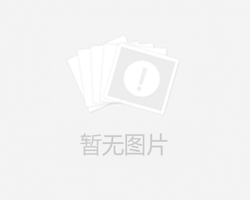 RA0063F/RA0100F真空泵進氣濾網