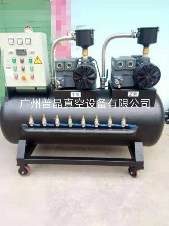 普旭RA0100F真空泵系統 風電行業雙泵系統 進口真空泵系統