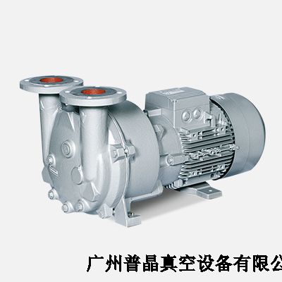 L-BV5液環泵
